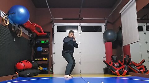 WTD Rear Side Kick to Snap Hook Kick sequential