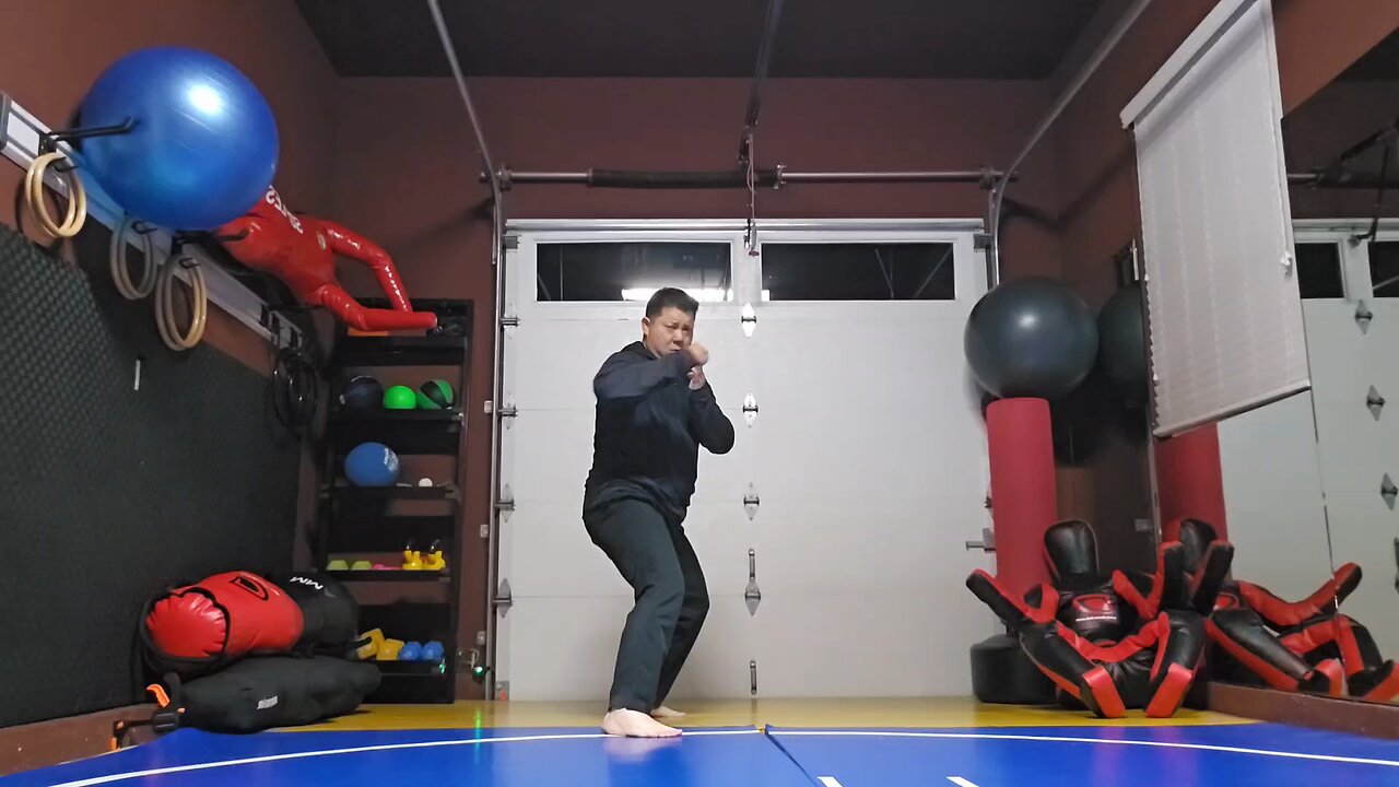WTD Rear Side Kick to Snap Hook Kick sequential