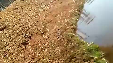 Viral: Funny Female Fails For 2024 😆