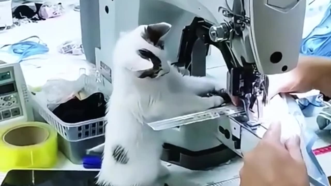 For your mood