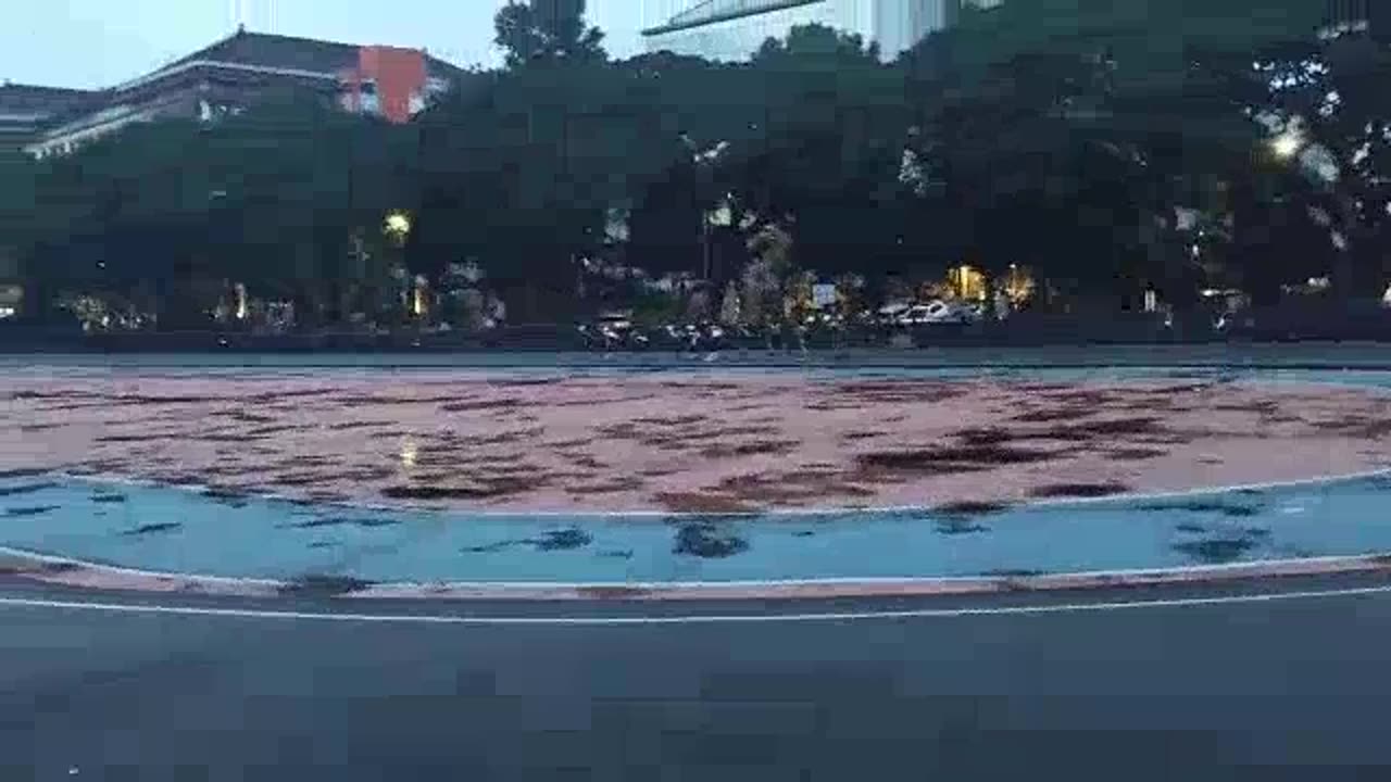 Everyday Skates Race Session