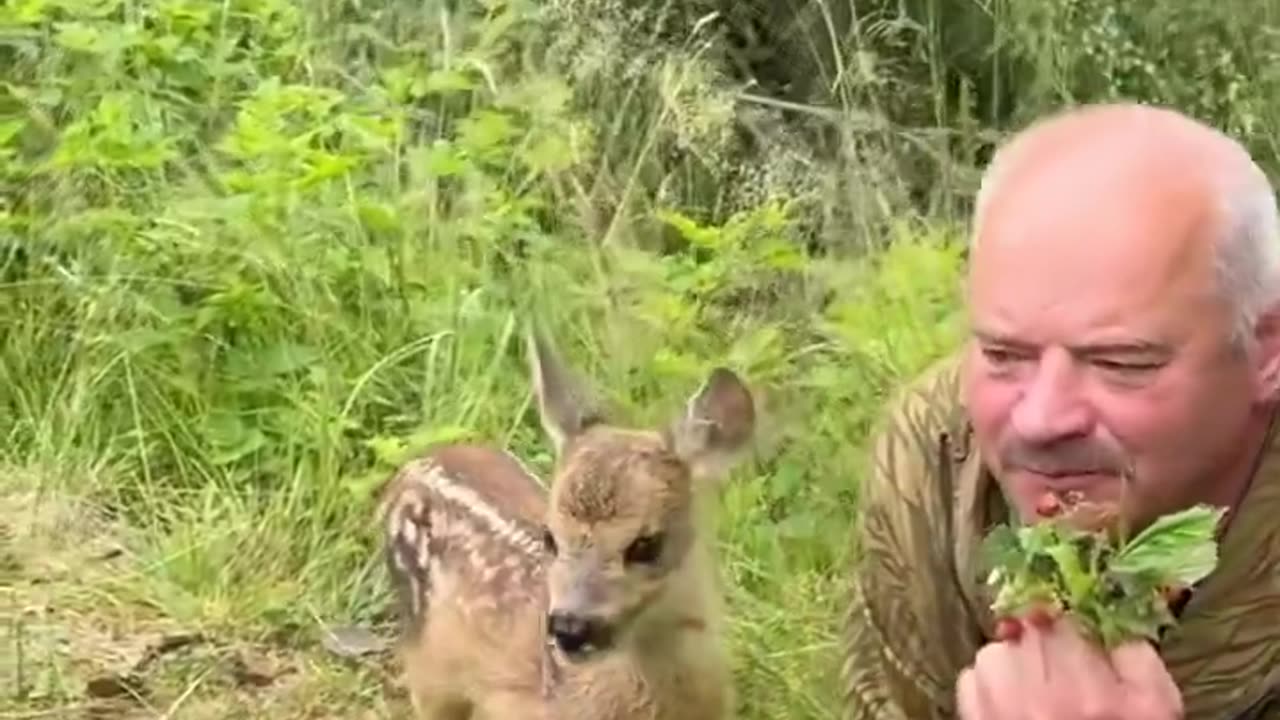 Deer love 🥰