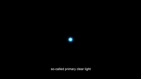 Bufo.Alvarius.The.Underground.Secret