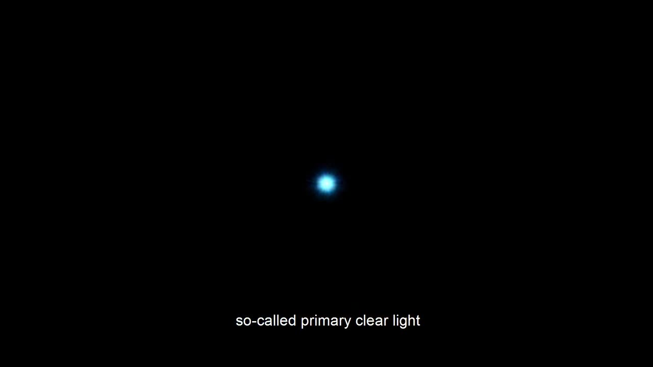 Bufo.Alvarius.The.Underground.Secret