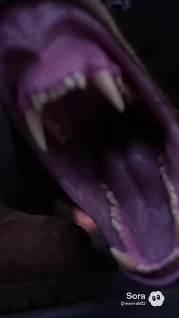 The Tree Stand Black Bear Climb