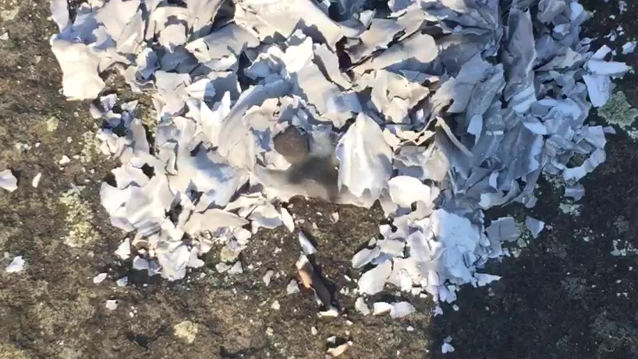 Delete Soul Contracts