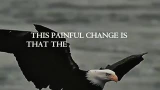 Woe Day 51. I am in the ark. Waiting for GOD to open the Door for a spring/summer Pentecost rapture