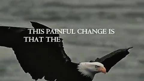 Woe Day 51. I am in the ark. Waiting for GOD to open the Door for a spring/summer Pentecost rapture