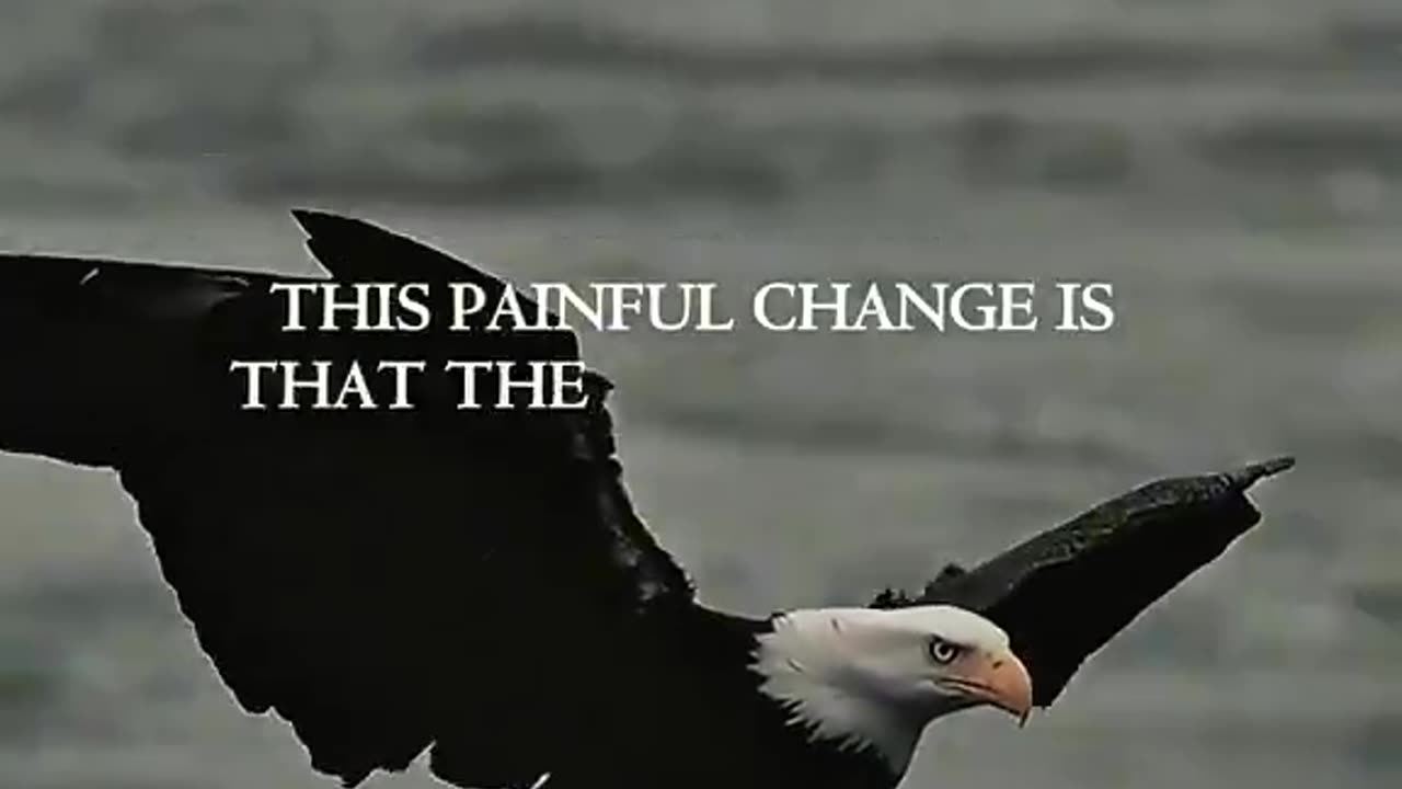 Woe Day 51. I am in the ark. Waiting for GOD to open the Door for a spring/summer Pentecost rapture