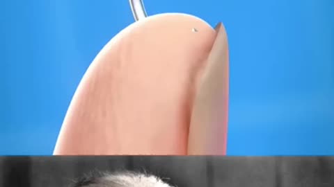 trending video popular video 📸📸 viral video