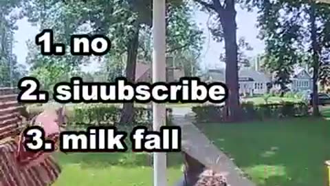 Ranking The Funniest Falls