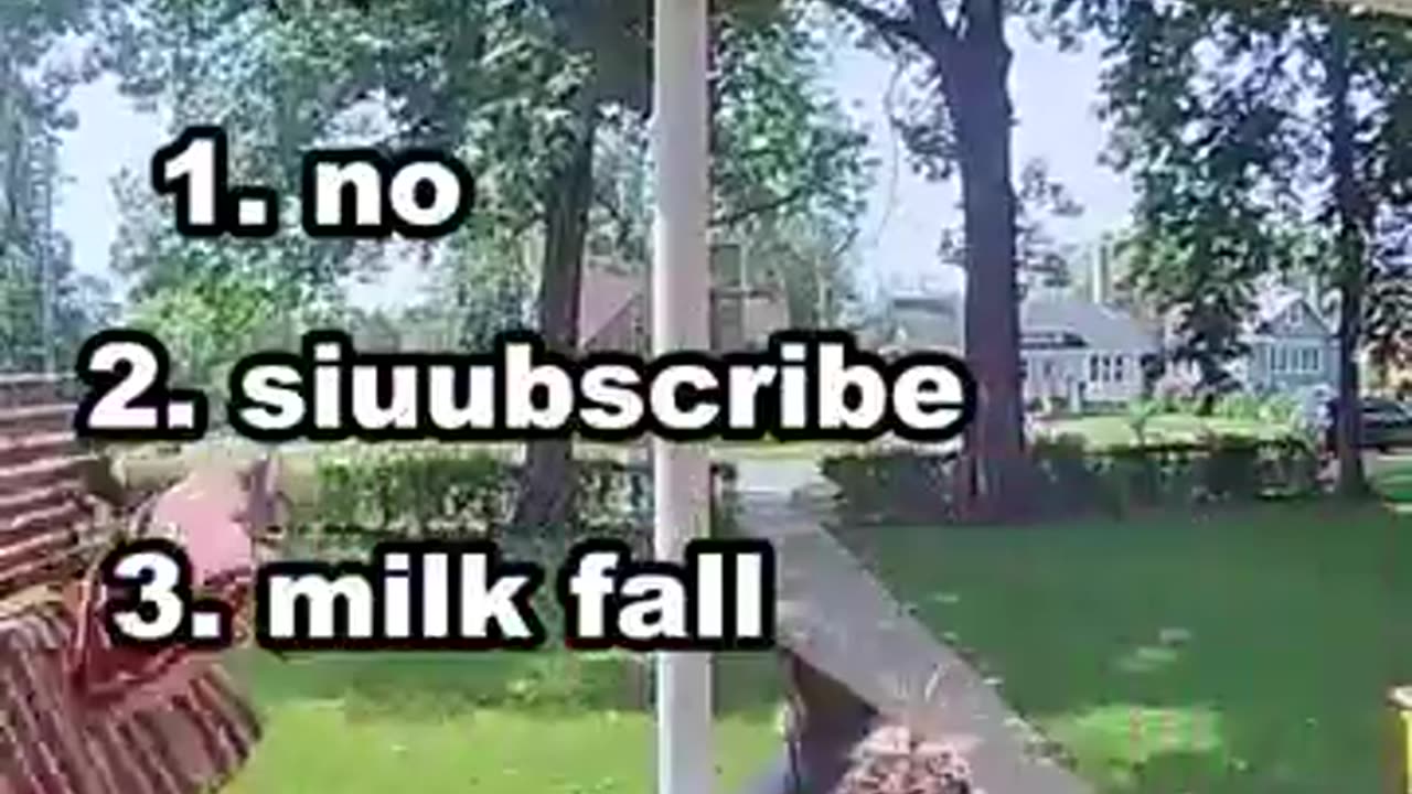 Ranking The Funniest Falls