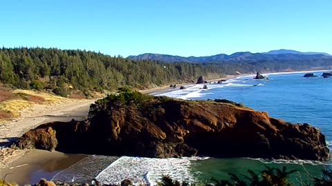 Relaxing day 12/11/25: