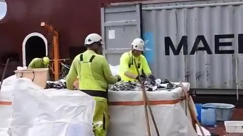 Removing Plastic Garbage From the Ocean. Heros!