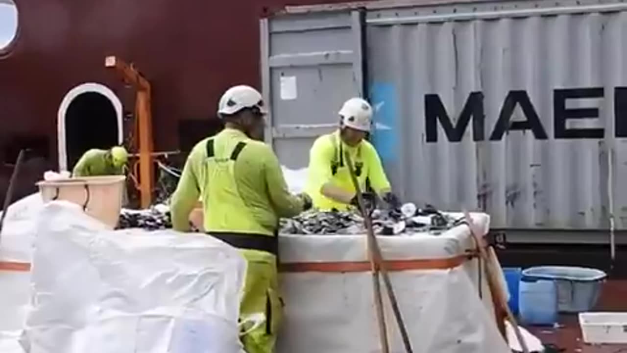 Removing Plastic Garbage From the Ocean. Heros!