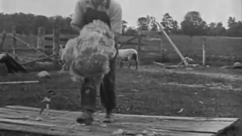 For the Future (School... - For the Future (School) Landmarks Exploration (America) Litt - fc-fc-265