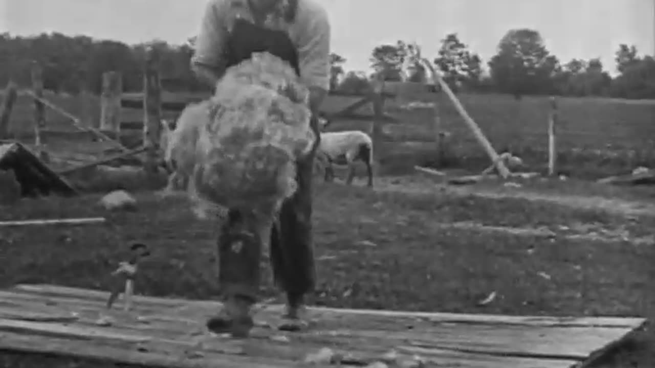 For the Future (School... - For the Future (School) Landmarks Exploration (America) Litt - fc-fc-265