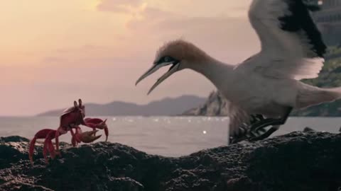 Ariel & Eric the little mermaid 2023 The Scuttlebutt