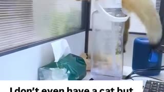 🤣😂 You Won't Believe This Outrageous Water Flavor! | FunFM