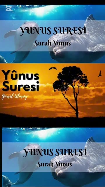 Subscribe to the channel