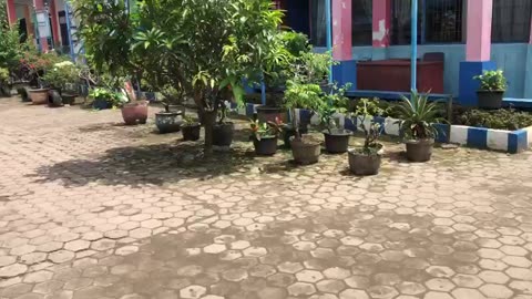 Daily Atmosphere at an Elementary School