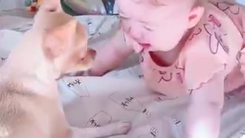 Dogs and children are happy together😍😍