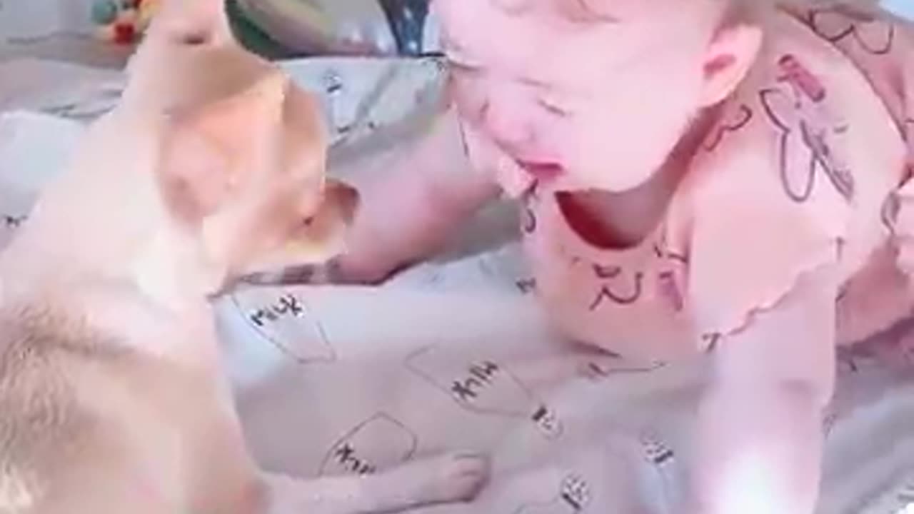 Dogs and children are happy together😍😍
