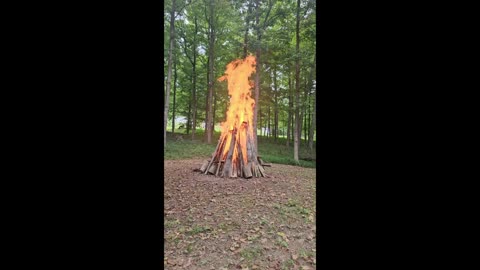 Little Bon Fire August 21st 2025