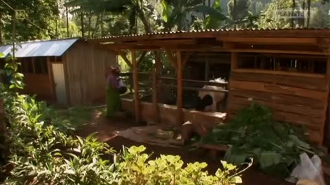 PO CO NAM BIORÓŻNORODNOŚĆ dokument pl