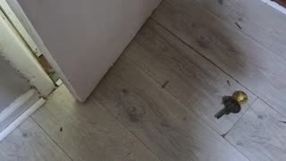 Final Step of an Eviction: Changing the Locks 🔑⚖️