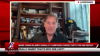 Mark Cuban Blames Kamala’s Campaign Consultants For Her Defeat