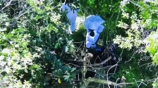 Hallan cuerpo de joven mujer en Argentina