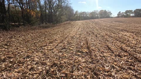 First day in the woods for 2025 deer season