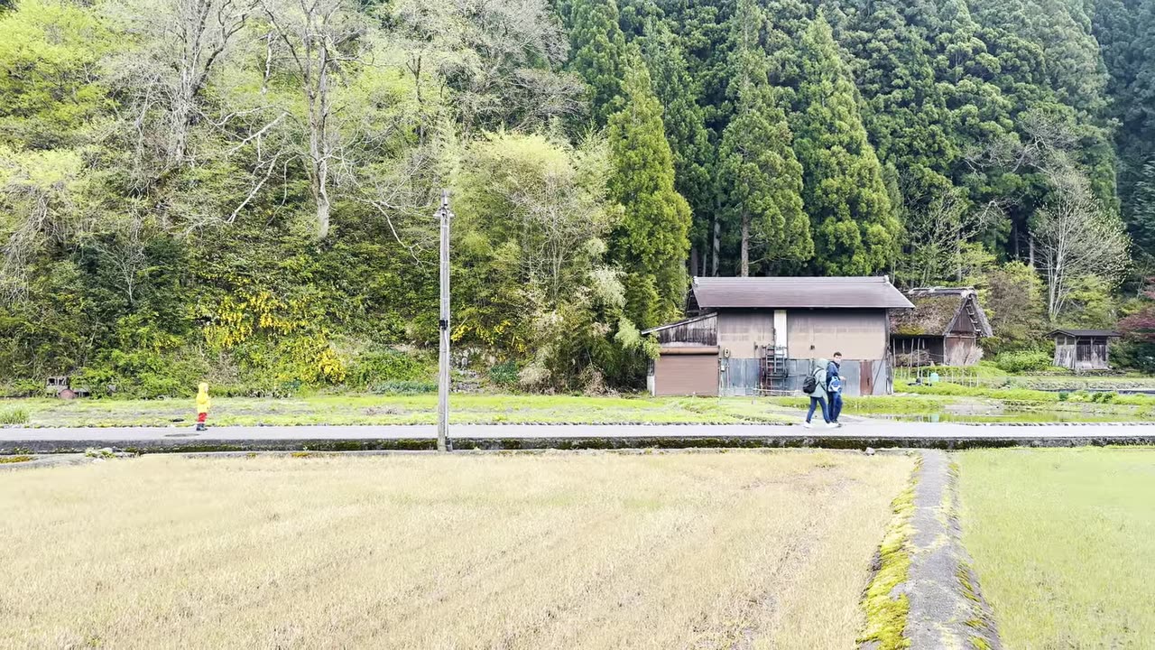 Japanese village