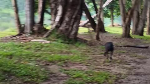 23.12.2025 Morning Stroll