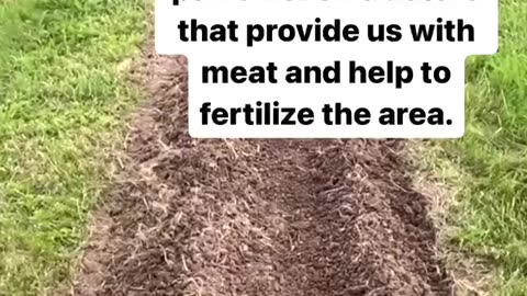 Food system....