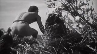 MARINE ACTION ON SENAGA SHIMA, OKINAWA - MARINE ACTION ON SENAGA SHIMA, OKINAWA - 428-npc-13076