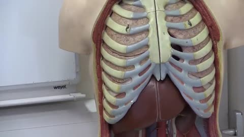 My problem hiatus hernia breathing