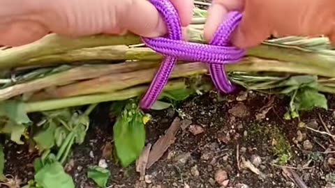 💡💡 You've Been Doing This Wrong Your Whole Life! | LifeHacksDaily