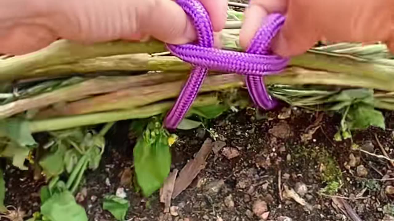 💡💡 You've Been Doing This Wrong Your Whole Life! | LifeHacksDaily