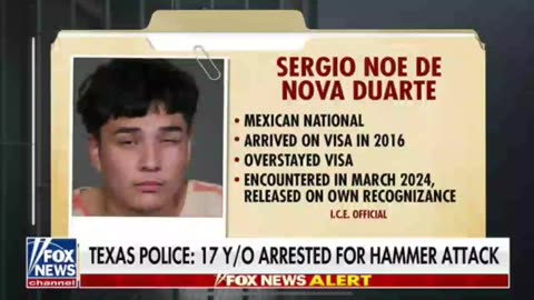 17-year-old illegal migrant from Mexico is accused of attacking a woman with a hammer