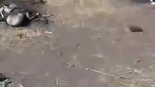 "There's Nowhere to Go"
