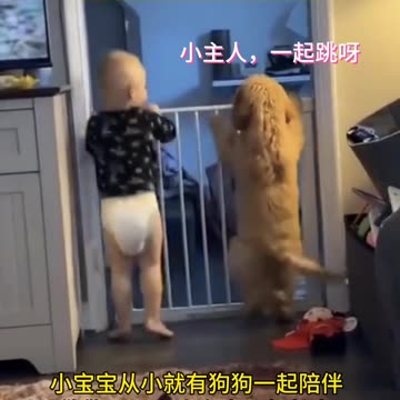 Funny video of a kid and a dog fighting video 2025 skc.com 68
