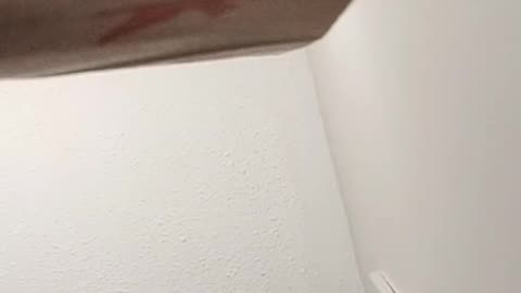 MACK CRASHING OUT OVER SOME WOMAN