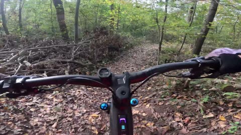 Birdsboro Preserve | Turn & Burn to Kashmir to Lower Haycreek