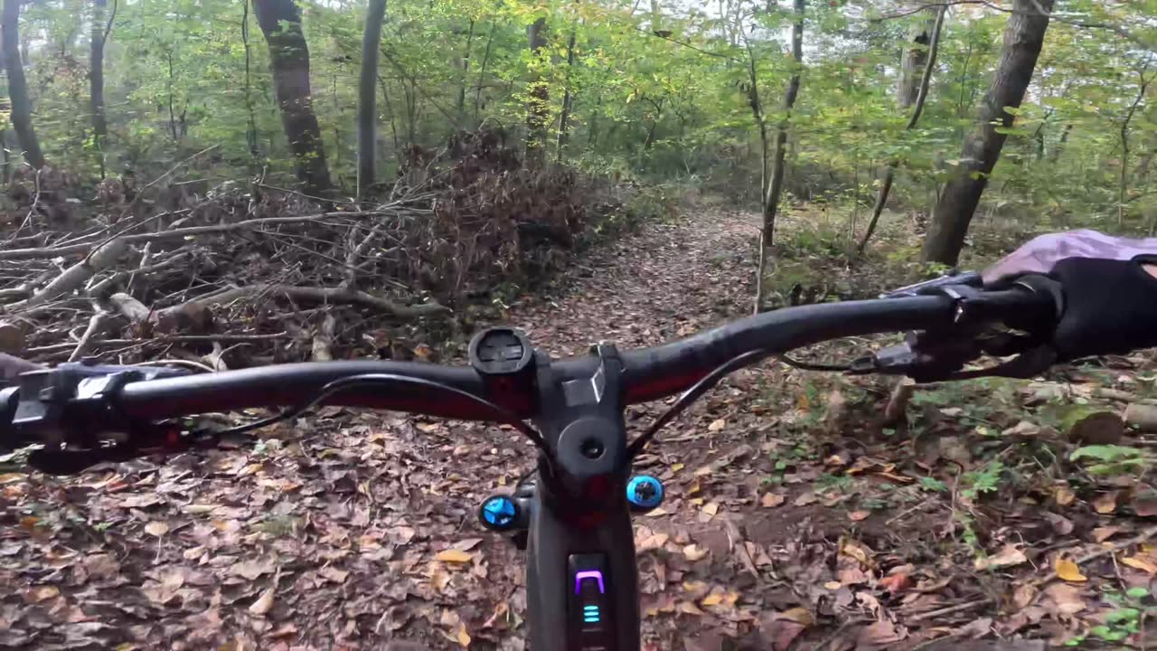 Birdsboro Preserve | Turn & Burn to Kashmir to Lower Haycreek