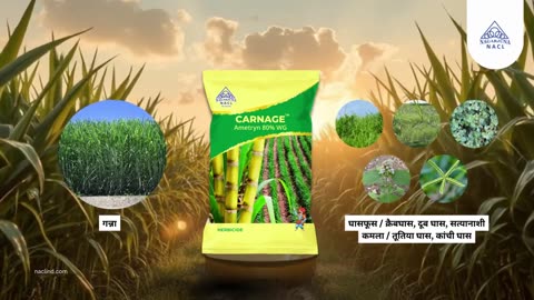 Trusted Farming Herbicides from NACL Industries Ltd India