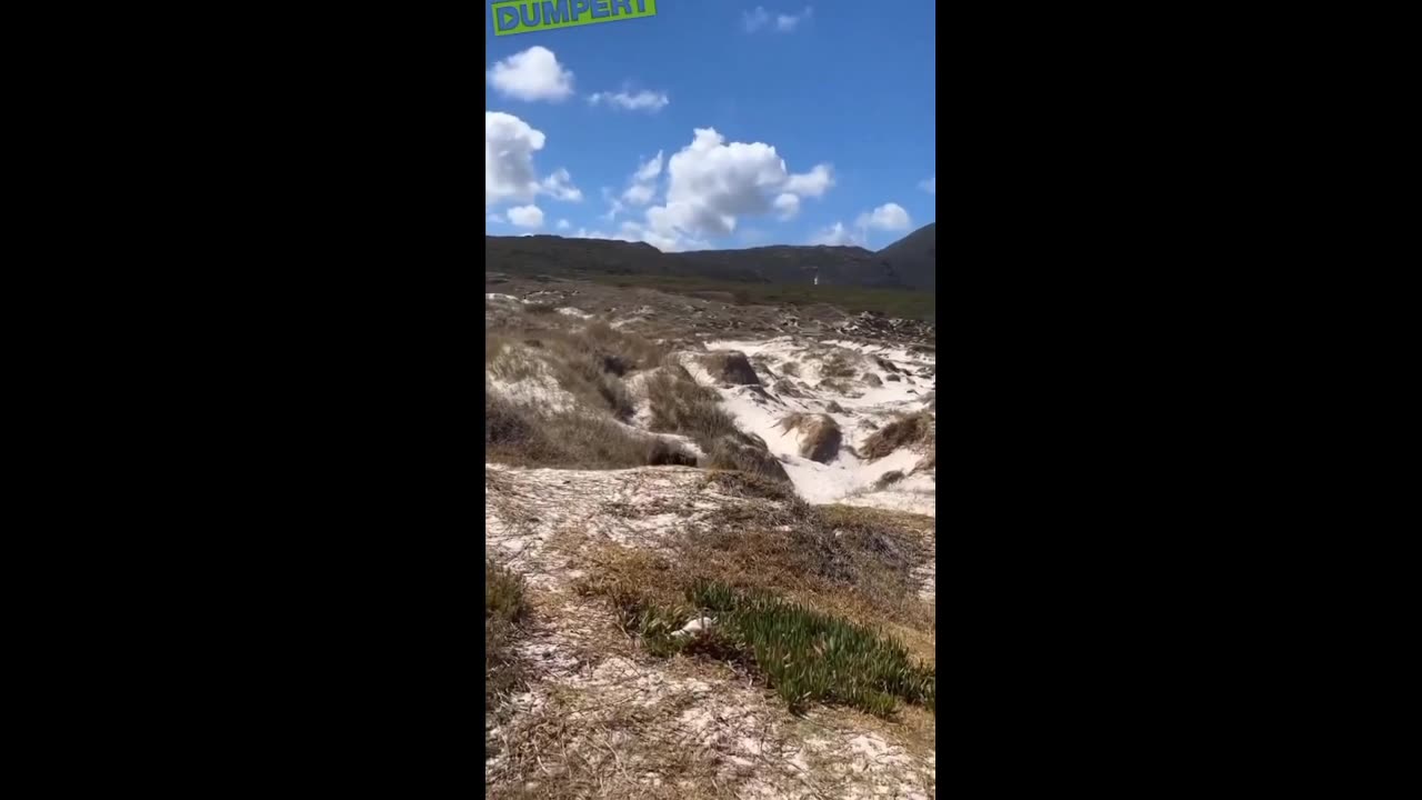 Daddy Goat 24/7 - Out Of Context Memes & Videos