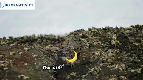 What will happen if we lose our Moon?