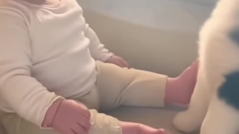 Warning: This baby's laugh is highly contagious! 😂❤️ The tiny howls, the huge baby smile.